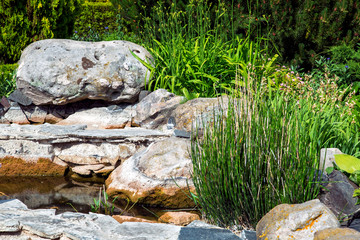 The landscape of the pond decor is a large light stone and green plants with reeds.