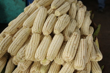 white corn