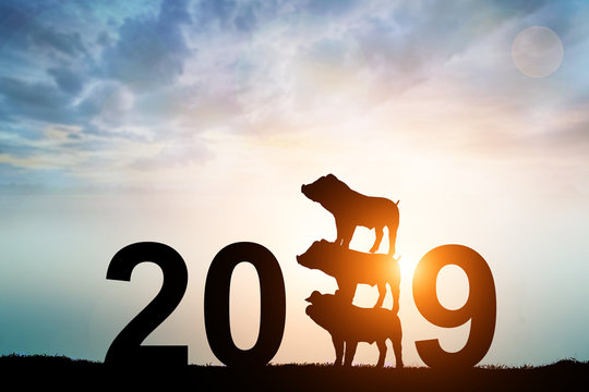 silhouette pig in 2019 text for happy New Year concept
