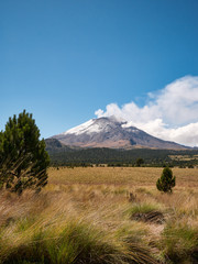 Smoke comes out of snowy Popocatepetl volcano seen from the Izta-Popo Zoquiapan National Park, Mexico