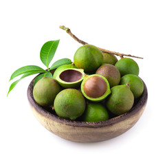 Macadamia nuts isolated on a white background