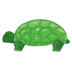 Funny illustration of a turtle