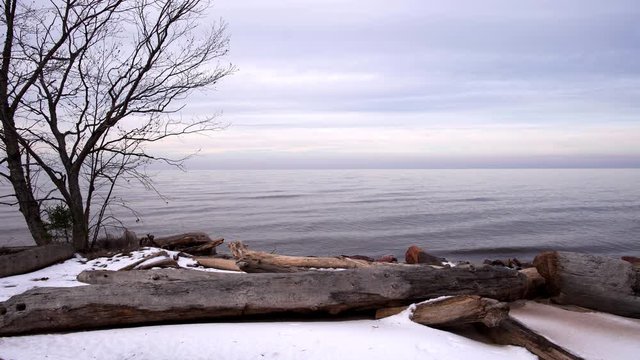 Snowy shore with logs and bare tree by calm, tranquil Lake Superior in winter, Upper Peninsula, Michigan. Looping 4K UHD clip, suitable for motion backgrounds