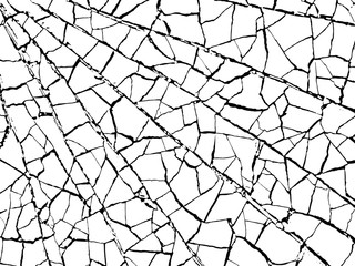 The cracks texture white and black. Vector background.Cracked earth. Structure of cracking. Cracks in dry surface soil texture. shards
