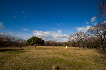 Obraz premium 公園