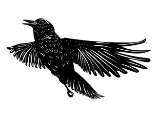 Black raven silhouette