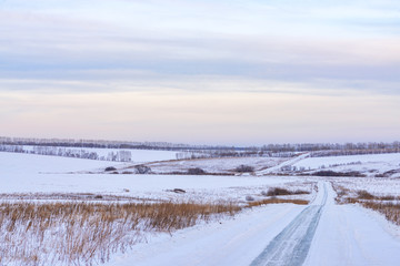 picturesque view of snow-covered forest on field at winter day 
