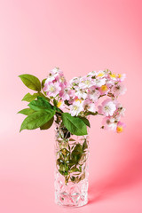 a bottle of pink briar flower arrangement