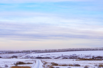 picturesque view of snow-covered forest on field at winter day 