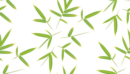 Green bamboo leaves