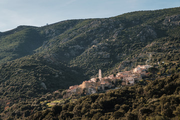 Ancient mountain village of Palasca in Corsica
