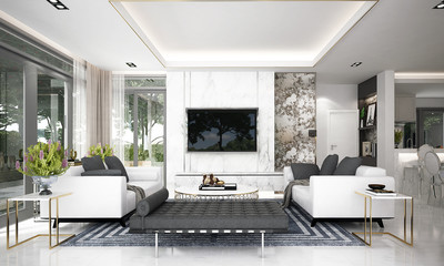 Modern luxury living room interior design 
