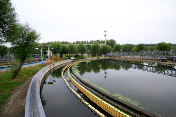 Wastewater treatment plant settling pond