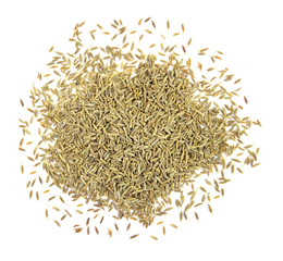 Fennel seeds on a white background