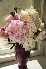 vase, bouquet, peonies, fragrance, petals, tenderness, window