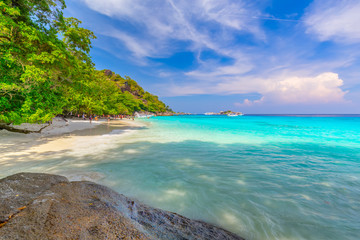Similan Islands Beautiful tropical sandy beach and lush green foliage on a tropical island ,thailand