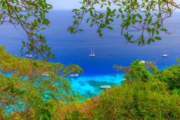 Similan Islands Beautiful tropical sandy beach and lush green foliage on a tropical island ,thailand
