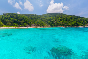 Plakat Similan Islands Beautiful tropical sandy beach and lush green foliage on a tropical island ,thailand