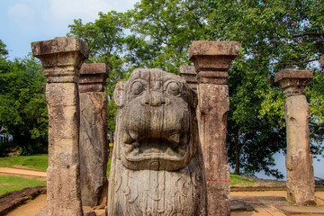 statue of lion in polonnaruwa sri lanka
