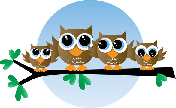 a cute owl family sitting on a branch header or banner