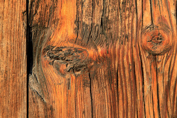 Woodiness grain