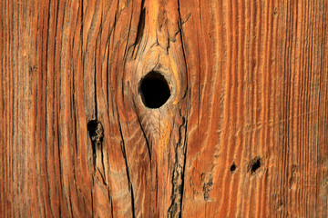 Woodiness grain