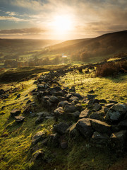 Rosedale Stone Wall
