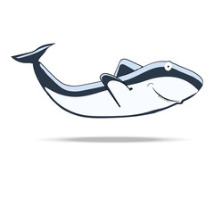 funny shark on a white background vector