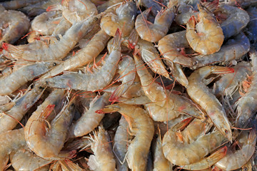 Fresh prawns stacked together