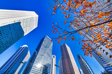 Obraz na płótnie Canvas 紅葉と新宿高層ビル群