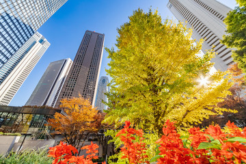 紅葉と新宿高層ビル群