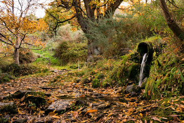 Paisajes de granada,naturaleza.