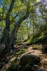 Paisajes de granada,naturaleza.