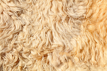 Wool texture