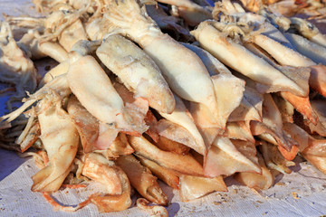 Fototapeta premium Frozen squid