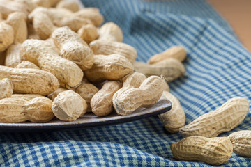 Peanuts in the peel on a beautiful red dish