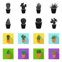 Isolated object of cactus and pot icon. Set of cactus and cacti stock vector illustration.