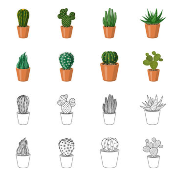 Vector design of cactus and pot icon. Collection of cactus and cacti stock vector illustration. © Svitlana