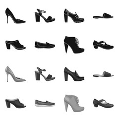 Vector design of footwear and woman sign. Set of footwear and foot stock symbol for web.