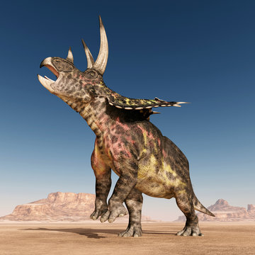 Dinosaur Pentaceratops in the desert