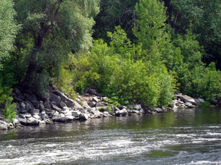 River bank stones and trees