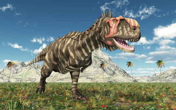 Dinosaur Rajasaurus