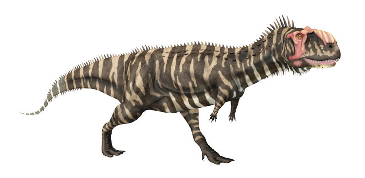 Dinosaurier Rajasaurus, Freisteller