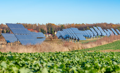 Solarpanel als Teil einer großen Photovoltaik anlge auf einem Feld / Wiese