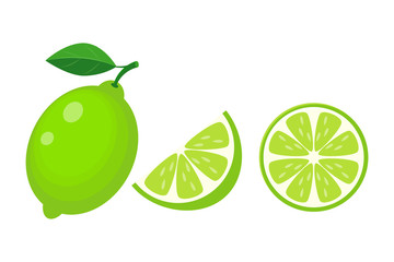 Colorful whole, half and slice lime with green leaf. Vector illu
