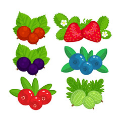 Set of garden berries vector illustration isolated on white back