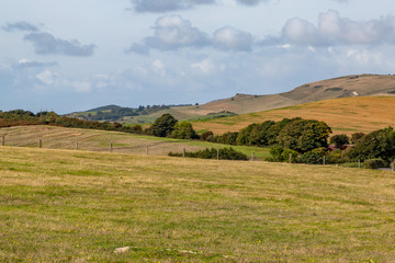 Rural Isle of Wight Landscape