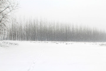 China's inland rivers and lakes in winter