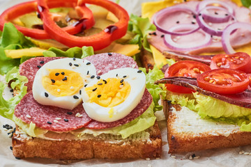 Different kind of sandwich on a white background