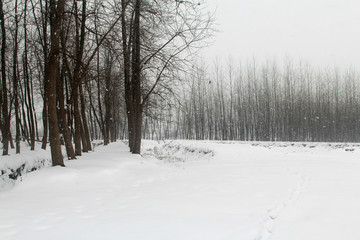 Fototapeta na wymiar China's inland rivers and lakes in winter